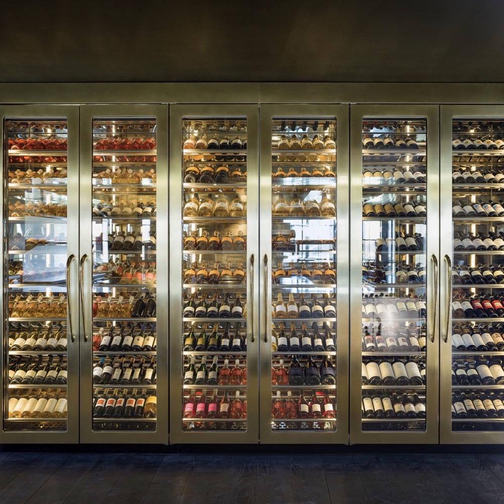 Single-Zone Luxury Stainless Steel Wine Column